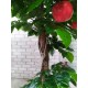 Яблуня штучна дерево з червоними яблуками