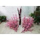 Дерево рожева розбірна сакура заввишки 180 см
