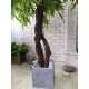 Дерево декоративне Верба плакуча подвійна 170 см