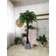 Декоративное экзотическое дерево 180 см пальма Манго