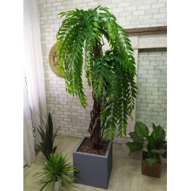 Дерево декоративное  №32  Ива крупнолистная