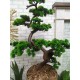 Бонсай искусственный №98 декоративное дерево сосна