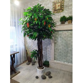 Декоративное Манговое дерево №31 высота 2,2 метра