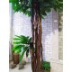 Декоративне мангове дерево №31 висота 2,2 метра