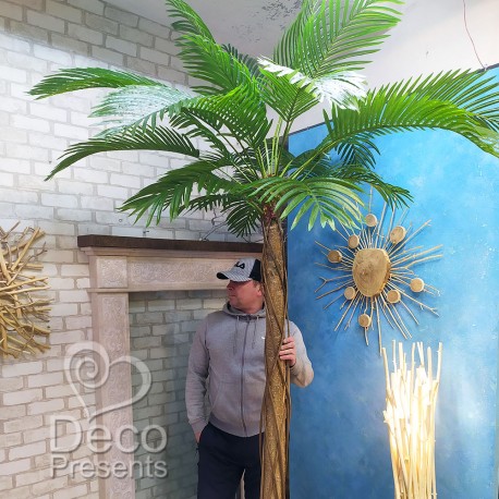 Декоративна пальма велика в Україні