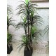 Пальма декоративная 5 стволов  180 см в вазоне