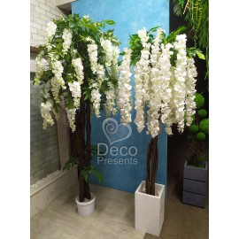 Декоративне дерево із білих квітів Вістерії 2 метри