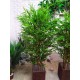 Кусты искусственного бамбука 150-160 см