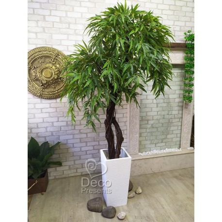 Ива декоративная в белом вазоне, высота дерева 2,2 метра