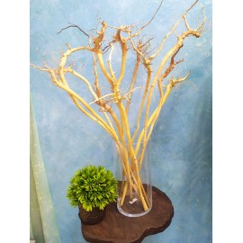 Декоративні гілки для підлогової вази, коріння природне