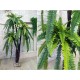 Декоративная пальма высотой 2 метра с длинными листьями
