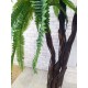 Декоративная пальма высотой 2 метра с длинными листьями