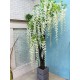 Дерево із квітів білої гліцинії (вістерії) висота 2 метри