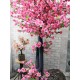 Большое дерево розовая сакура высота 2,5 метра