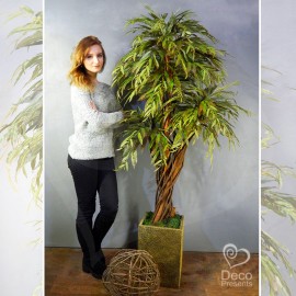 Растение декоративное с листьями ивы 2 метра