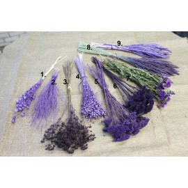 Набор сухоцветов фиолетовых №12 для декора