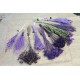 Набор сухоцветов фиолетовых для декора