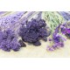 Набір сухоцвітів фіолетових №12 для декору