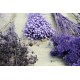 Набор сухоцветов фиолетовых для декора