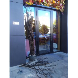 Деревянная основа большого осеннего дерева для ресторана