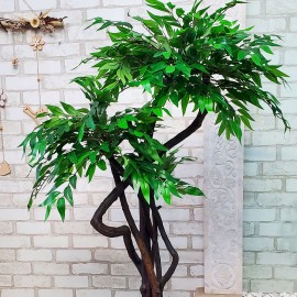 Декоративный фикус дерево бонсай для офиса
