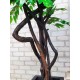 Декоративный фикус дерево бонсай для офиса