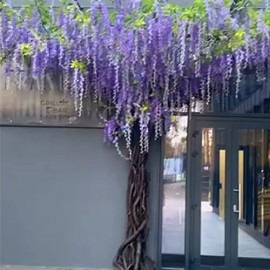 Большое дерево из цветов глицинии для ресторана