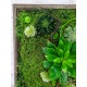 Картина №4 зі штучного моху та рослин