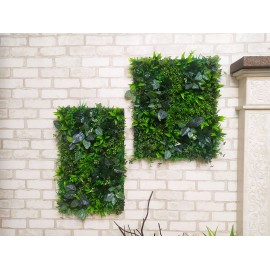 Вертикальне озеленення, зелені фітостіни на замовлення