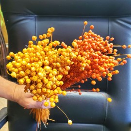 Сухоцветы оранжевые, желтые колоски купить в Украине