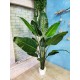 Банановая пальма (пальмовый куст) 150 см