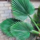 Пальмовый лист 85 см