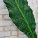 Листья пальмы искусственные длинные