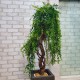 Искусственное дерево бонсай №156