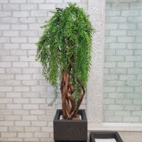 Штучне дерево бонсай Верба №157