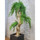 Штучне дерево бонсай Верба світла №158