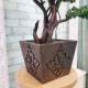 Декоративне дерево бонсай Сосна №159