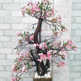 Декоративное дерево цветущая сакура бонсай