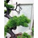 Штучне дерево бонсай сосна №52