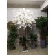Декоративне дерево з білих квітів вишні