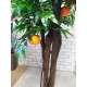Дерево фруктове з лимонами чи мандаринами 2 метри