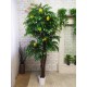 Дерево фруктовое с лимонами или мандаринами 2 метра