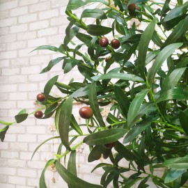 Декоративне оливкове дерево у вазоні