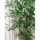 Декоративное оливковое дерево в вазоне
