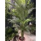 Пальма штучна Арека 180 см