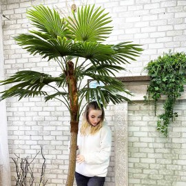 Пальма веерная искусственная 2 метра