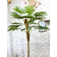 Пальма віяла штучна 2 метри