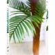 Пальма декоративная высота 1,8-2 метра