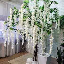 Велике дерево з білими квітами гліцинії.