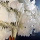 Гілка білі для весільного дерева декор